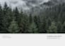 build a custom comfyui workflow for ultra realistic images